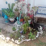 Stylish House With Swimming Pool,near & Town, Wifi Feriehus Dénia