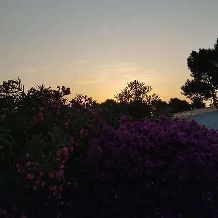 Σπίτι διακοπών Stylish House With Swimming Pool,near & Town, Wifi