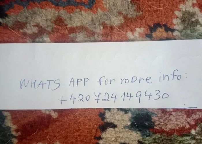 Stylish House With Swimming Pool,near & Town, Wifi