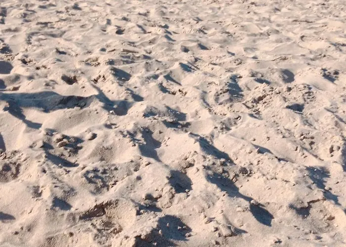 Stylish House With Swimming Pool,near & Town, Wifi