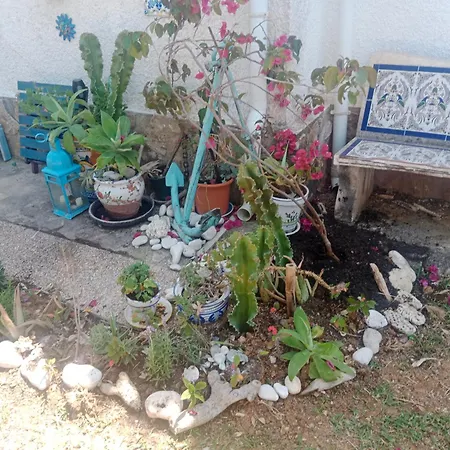 Stylish House With Swimming Pool,near & Town, Wifi Semesterbostad Denia
